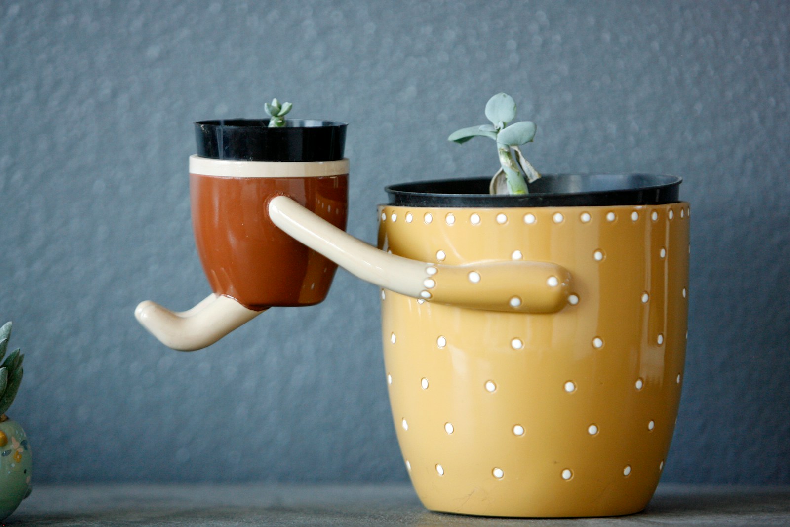 Pflanzen stilvoll verschönern: Designer-Pflanzgefäße 2026 1 cache pot