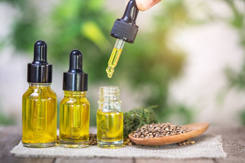 Beunruhigt der spektakuläre Aufstieg von CBD bestimmte Spieler? 3 CBD-Hanfpflanze mit üppig grünen Blättern und Blüten