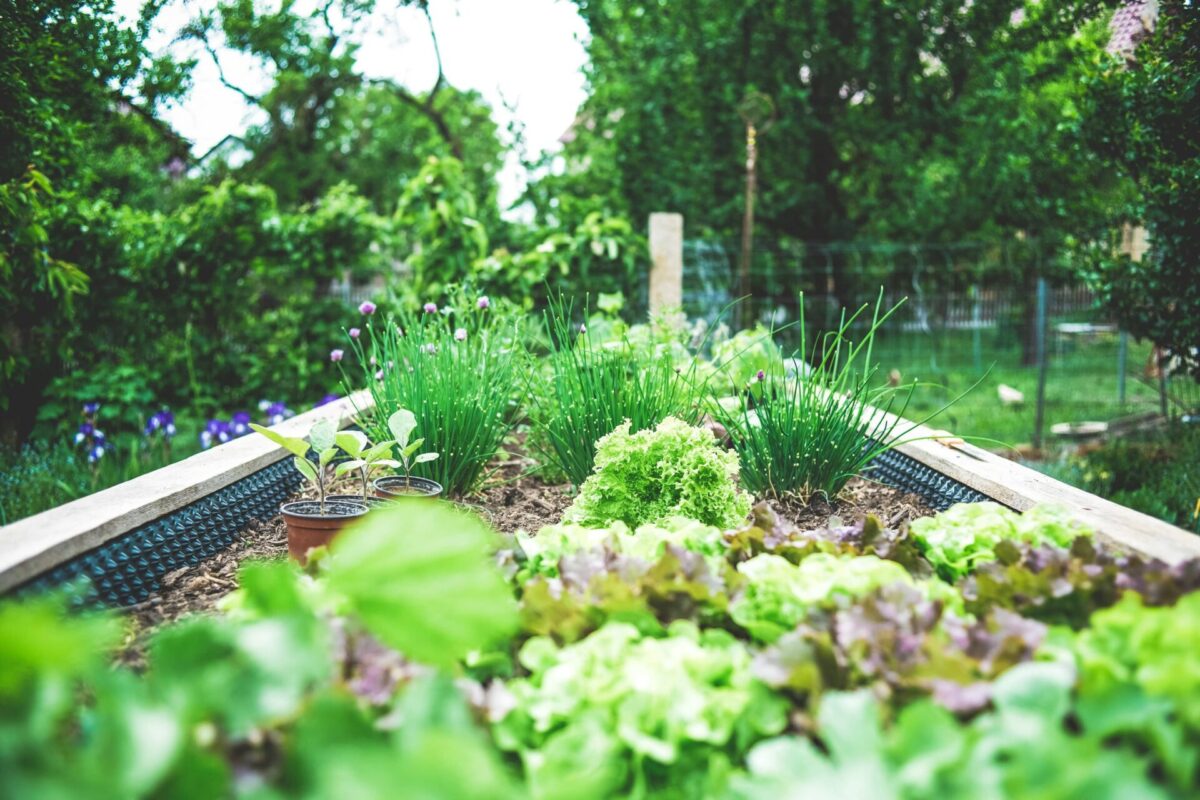 Garten im Herbst dekorieren: Einfache & warme Ideen für Ihr Zuhause 1 décorer jardin