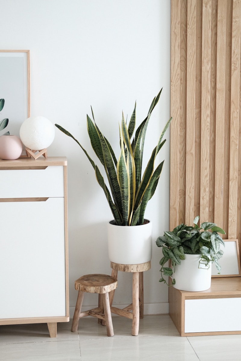 Rhinov: ihr personalisierter online-innenarchitekturservice 1 rhinov décoration intérieur