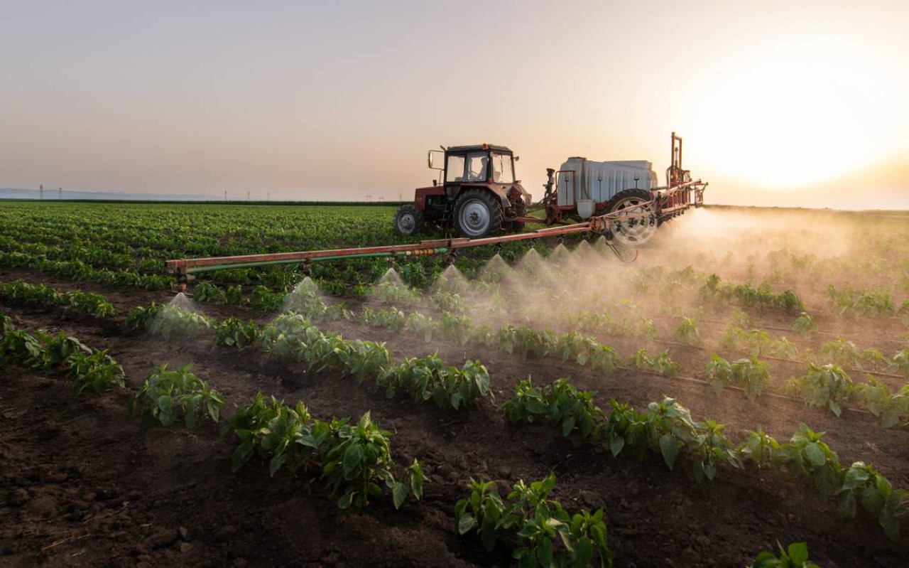 Robustheit, die sich in den Saisons 2026 bewährt hat 1 Buse Hardi : une robustesse éprouvée au fil des saisons