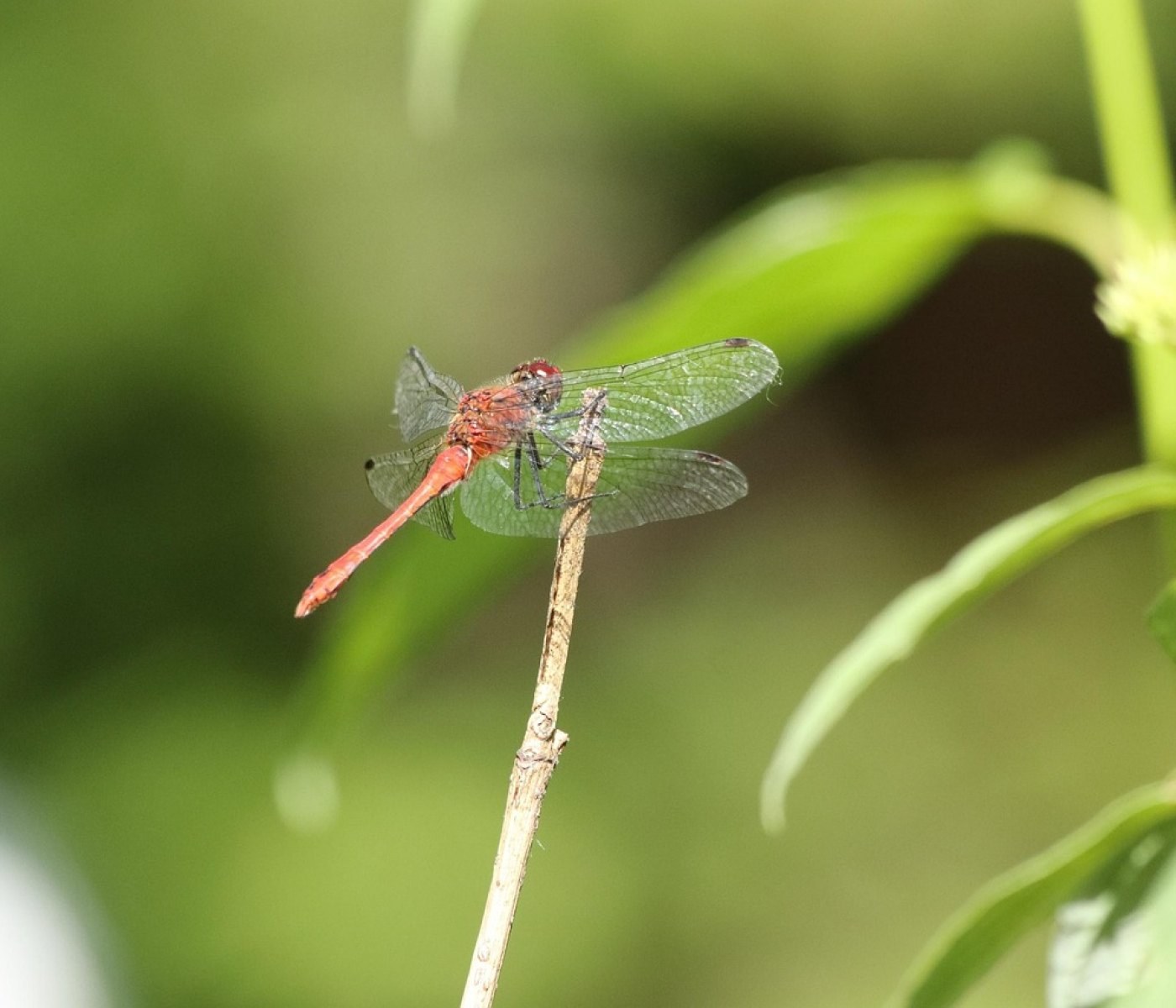 Schallschutz für Wände verbessern: der komplette Leitfaden 1 Schallschutz für Wände verbessern: der komplette Leitfaden